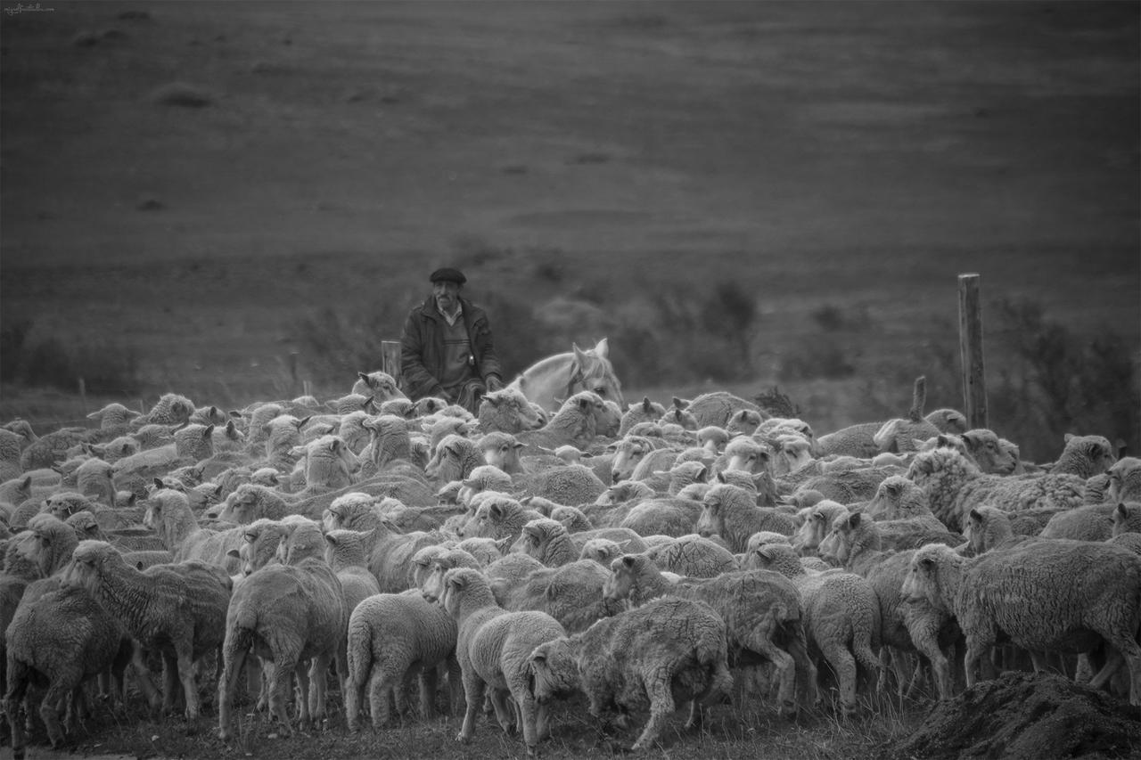 Estancia Dos Elianas Торрес-дель-Пайне Экстерьер фото